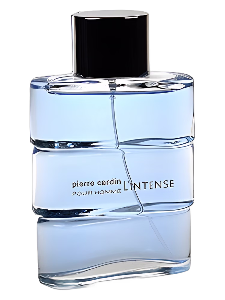Pierre Cardin Pierre Cardin pour Homme l'Intense