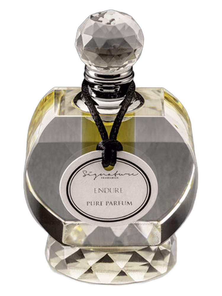 Signature Fragrances Endure