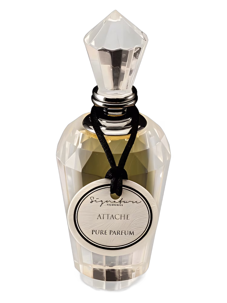 Signature Fragrances Attache