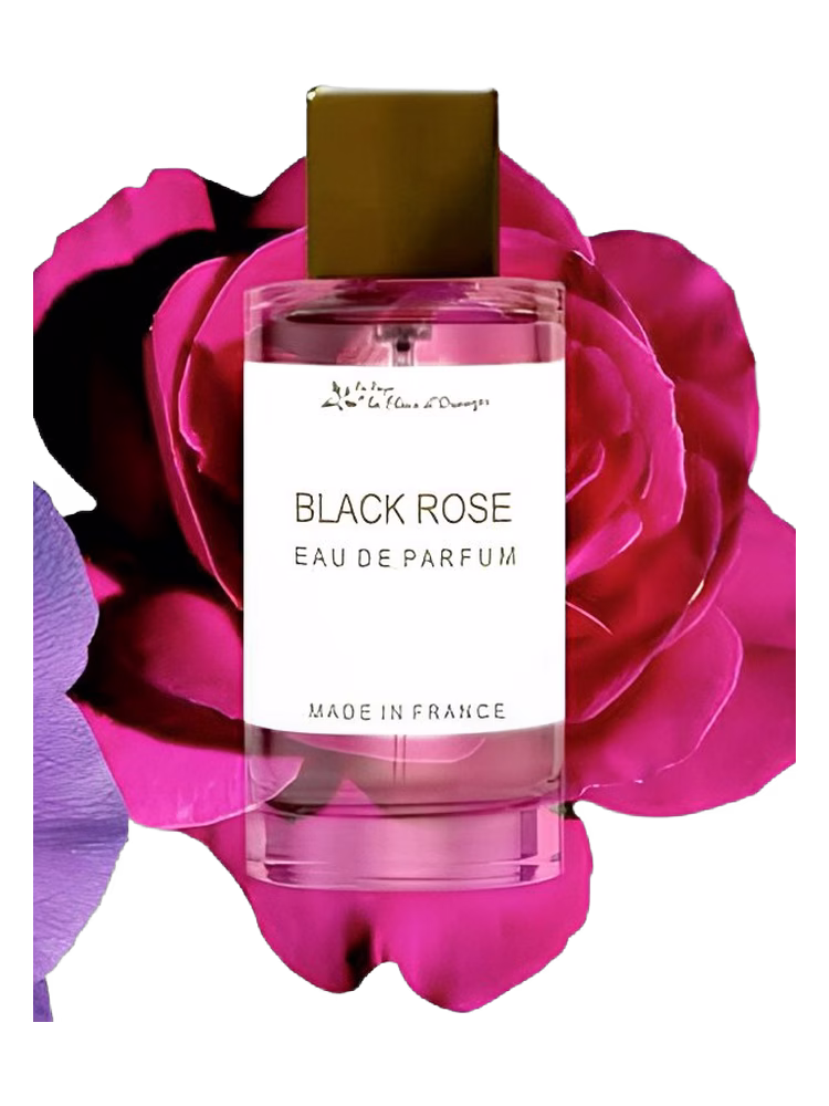Au Pays de la Fleur d’Oranger Black Rose