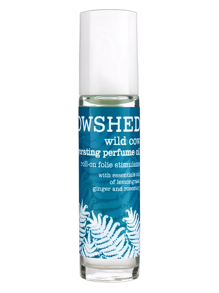 Cowshed Wild Cow