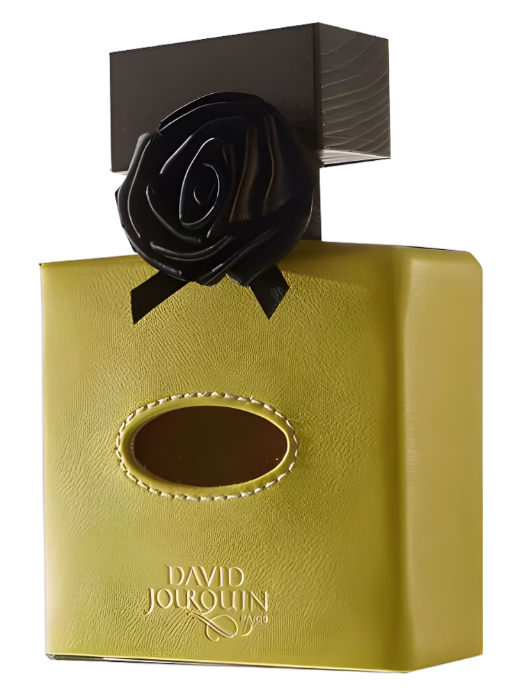 David Jourquin Cuir Solaire