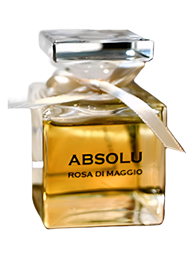 Diadema Exclusif Absolu Rosa Di Maggio