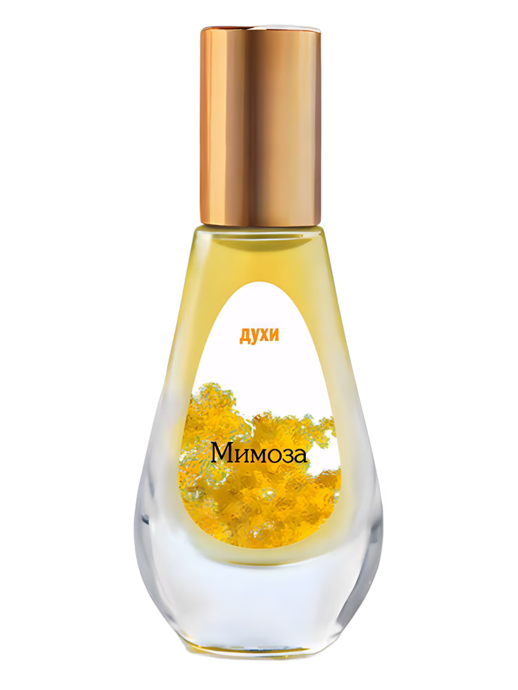 Dilís Parfum Mimoza