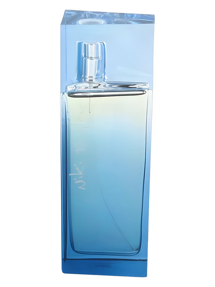 Niki Taylor Begin
