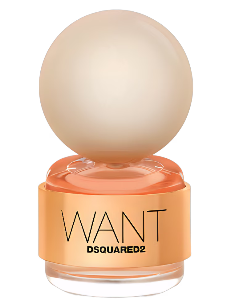 DSQUARED² Want