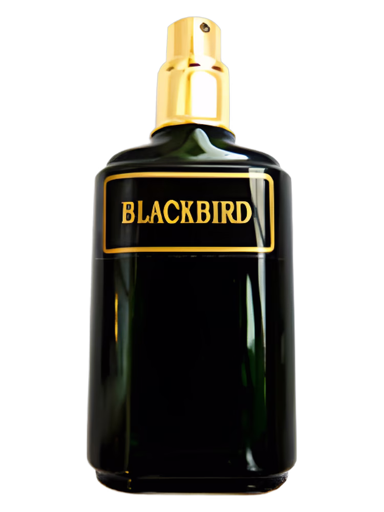 Meshaz Natural Perfumes Blackbird