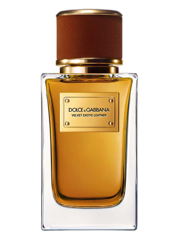 Dolce&amp;Gabbana Velvet Exotic Leather