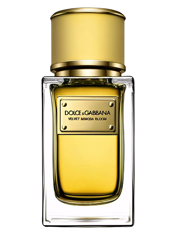 Dolce&amp;Gabbana Velvet Mimosa Bloom