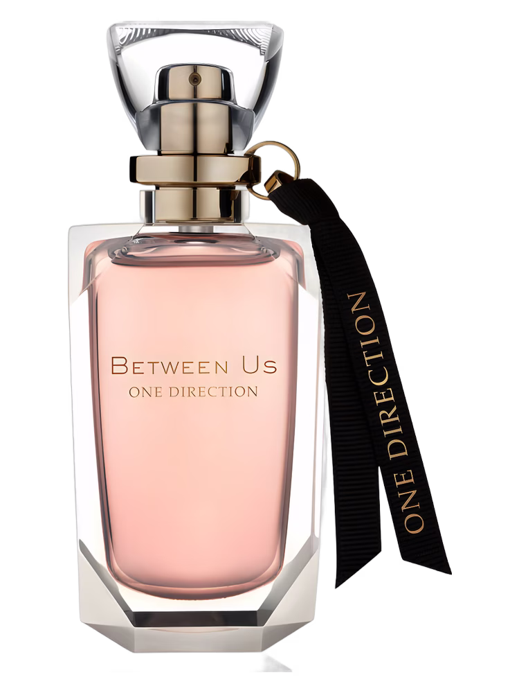 One Direction Between Us