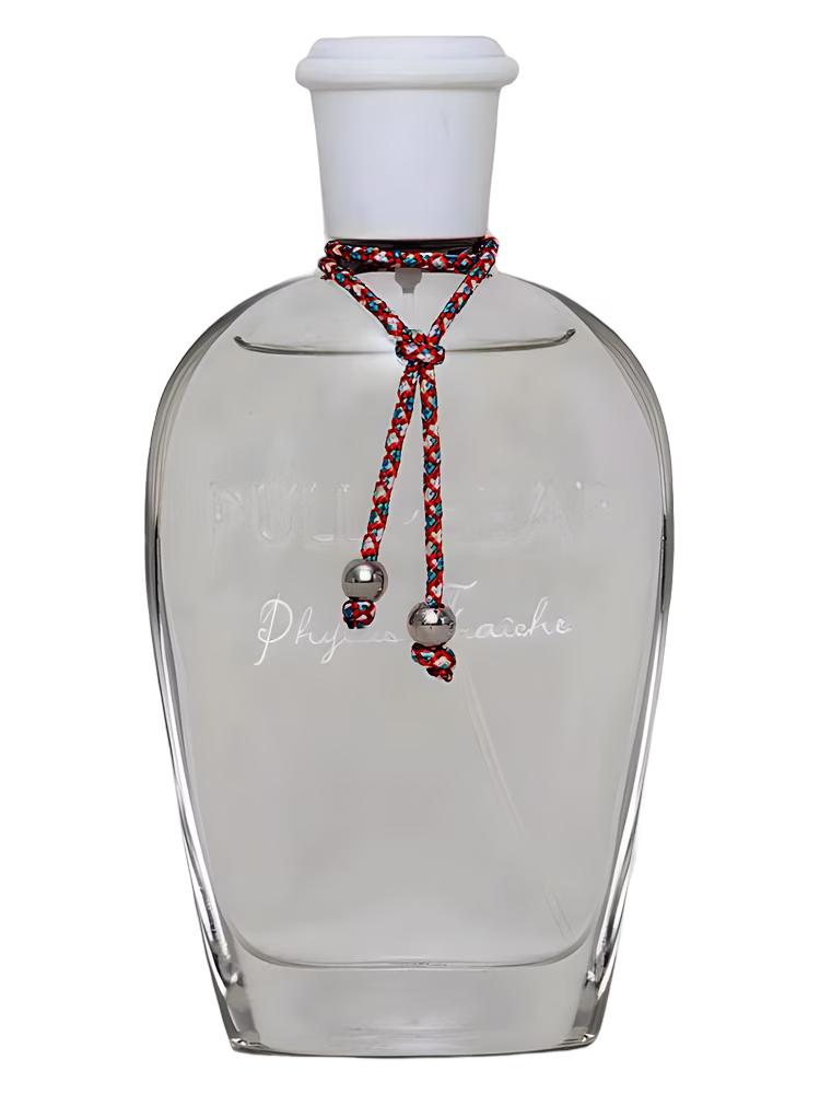 Pull & Bear Phyllis Fraiche