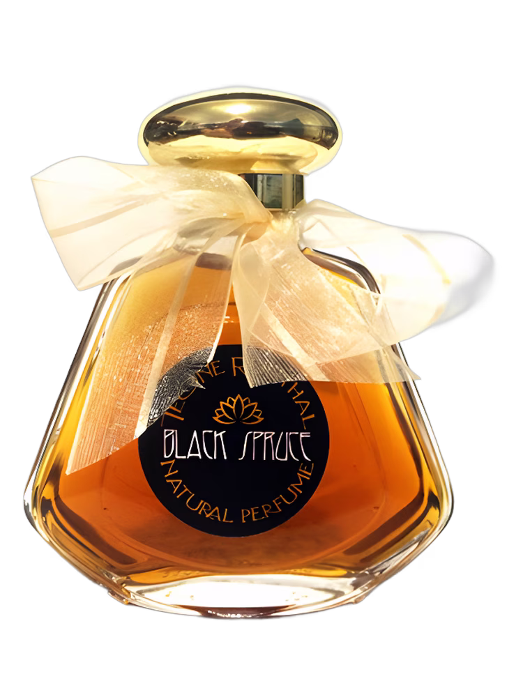 TRNP Black Spruce