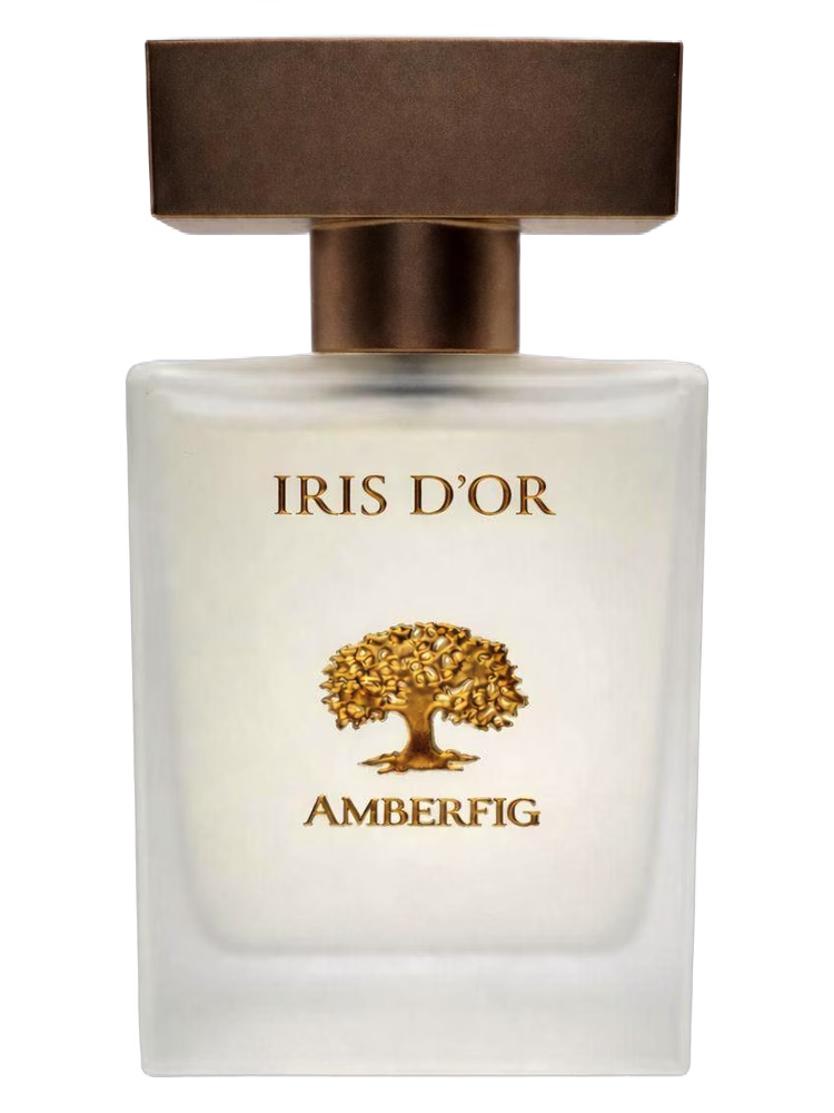 Amberfig Iris d'Or