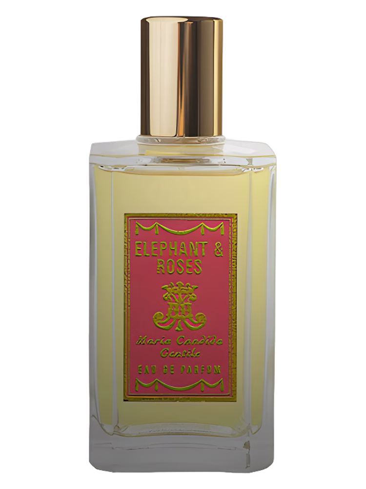 Maria Candida Gentile Elephant & Roses