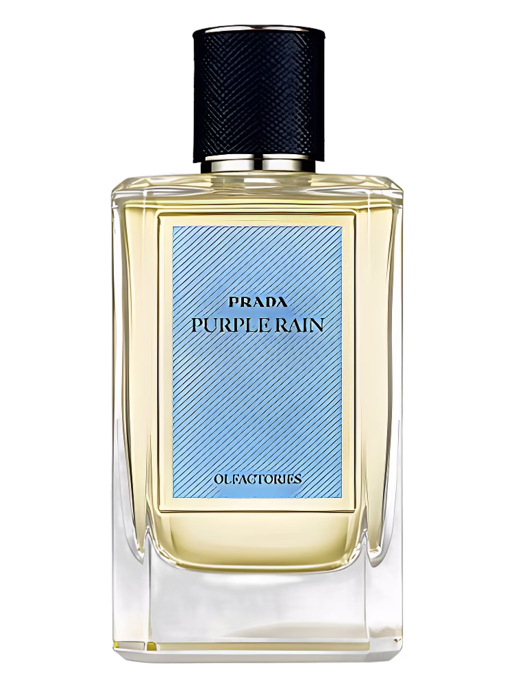 Prada Purple Rain