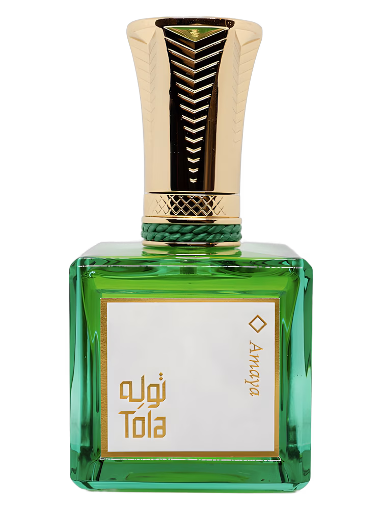 Tola Amaya