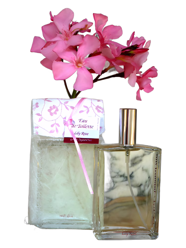 Le Bel Aujourd'hui Lily Rose