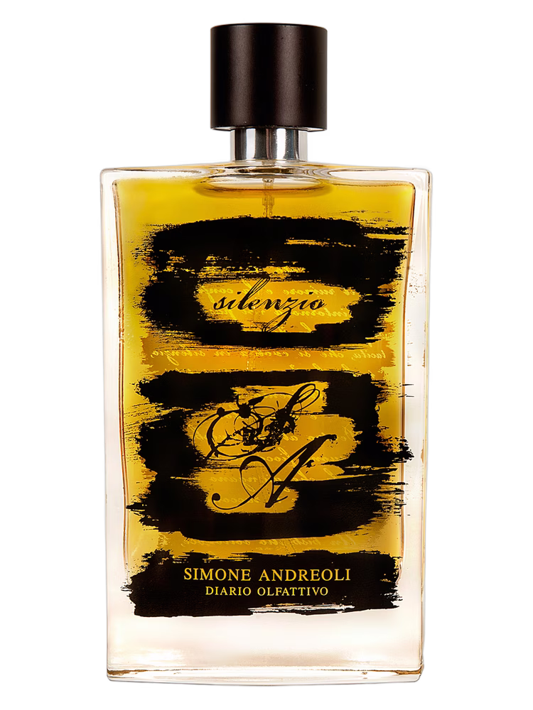 Simone Andreoli Silenzio