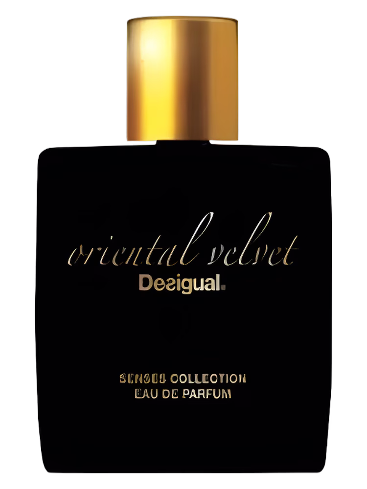 Desigual Oriental Velvet