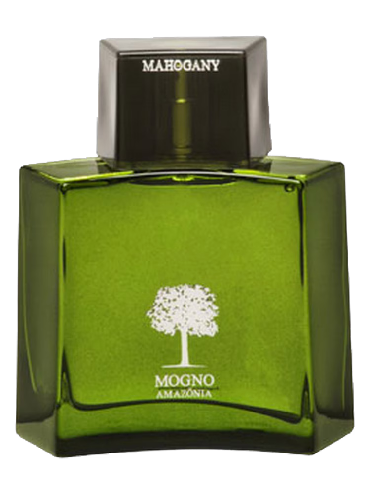 Mahogany Mogno Amazônia