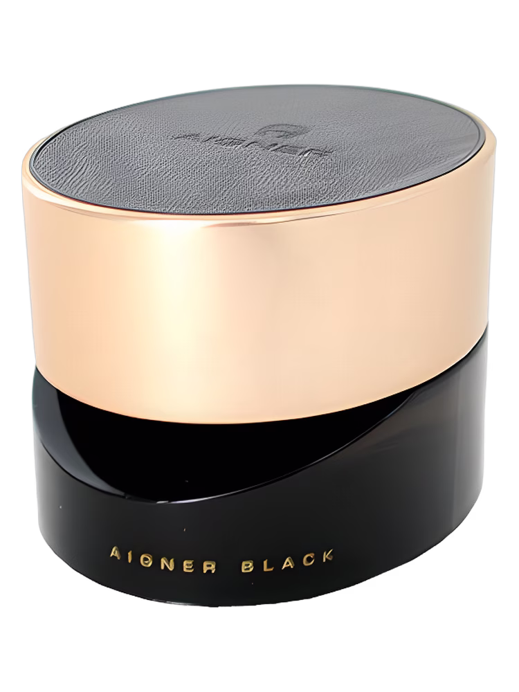 Etienne Aigner Aigner Black