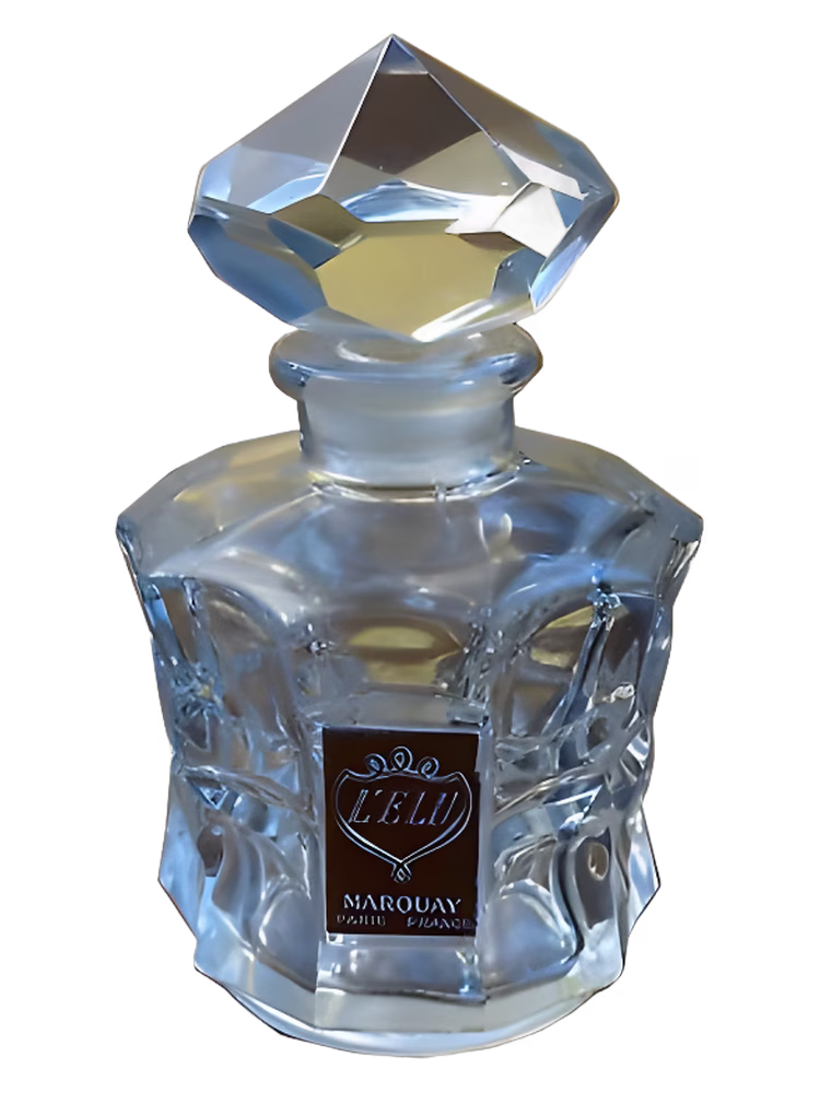 Marquay L'Élu