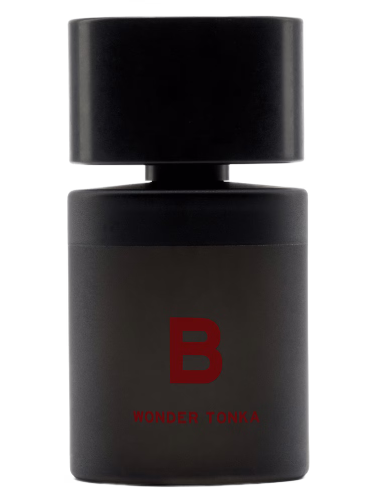 Blood Concept B Wonder Tonka