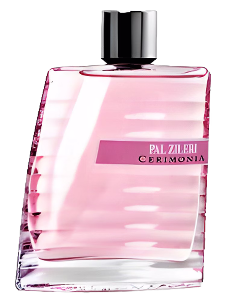 Pal Zileri Cerimonia Pour Femme