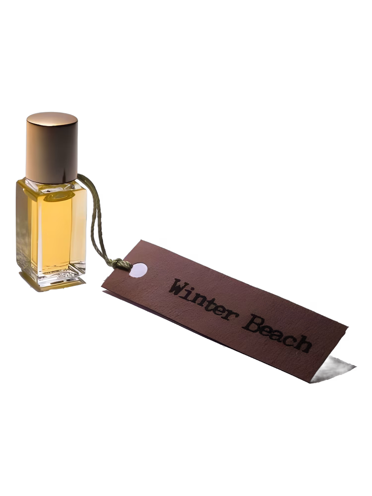 Scent by the Sea Winter Beach