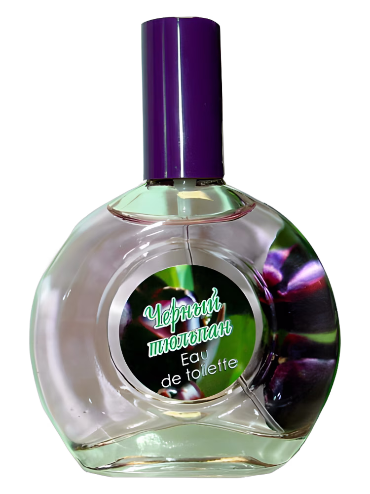 Parfums Guy Alari Black Tulip Черный Тюльпан