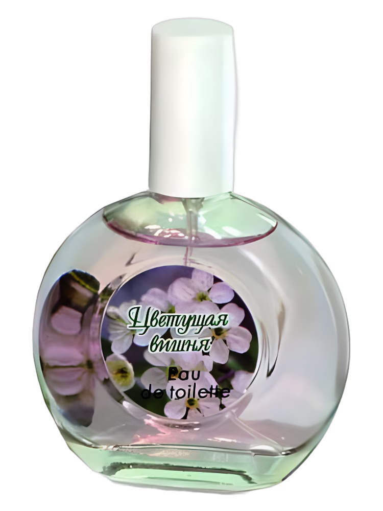 Parfums Guy Alari Cherry Blossom Цветущая Вишня