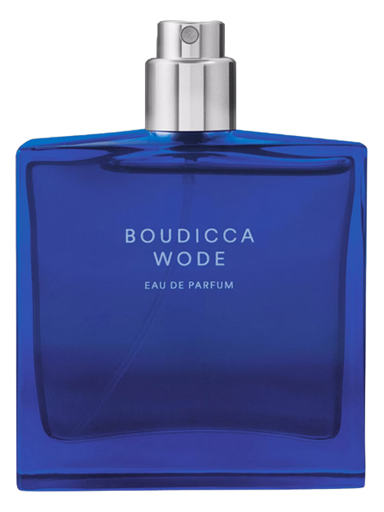 The Beautiful Mind Series Boudicca Wode