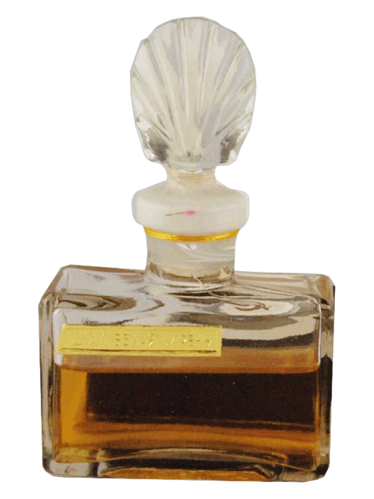 Сувенир (Краснодар) Белая сирень (White Lilac)