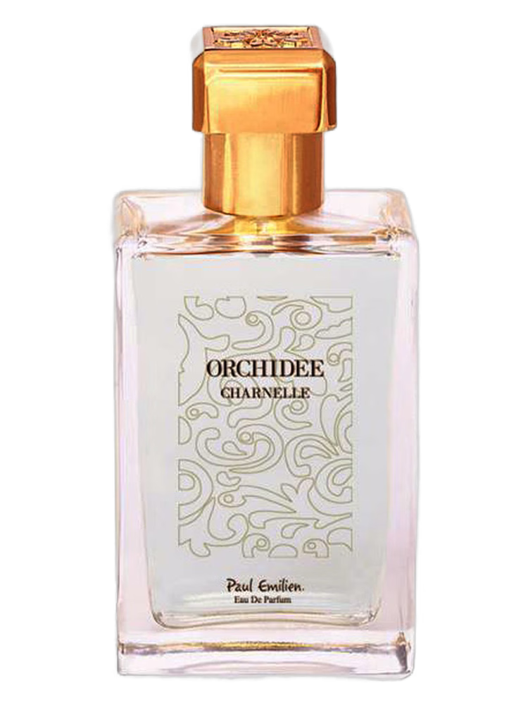 Paul Emilien Orchidée Charnelle