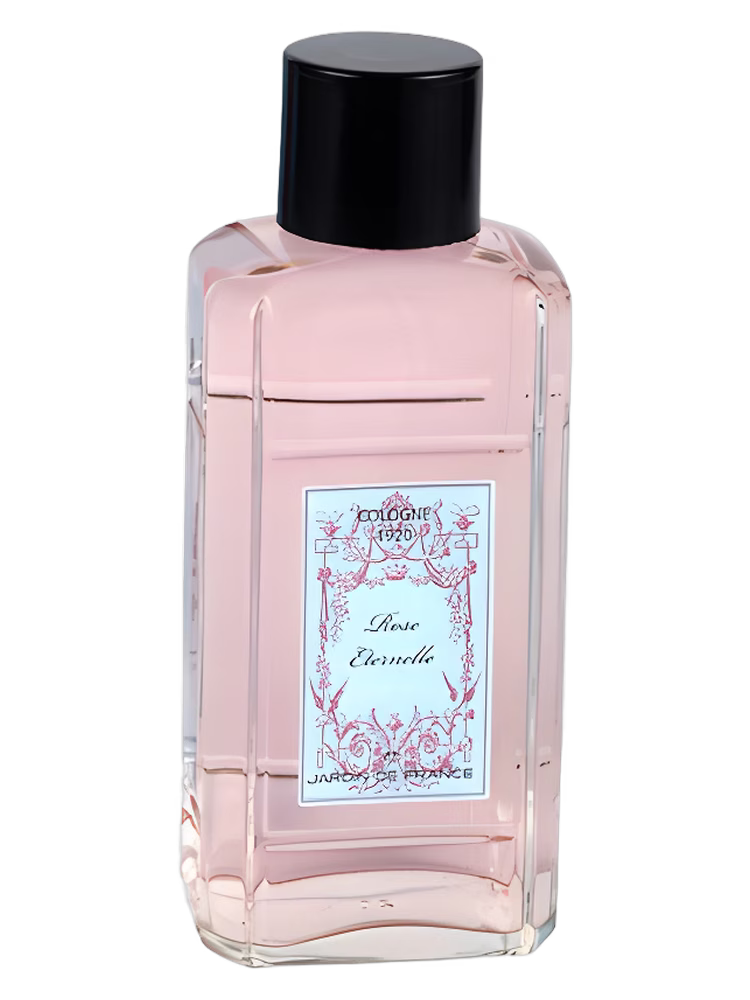Jardin de France Rose Eternelle