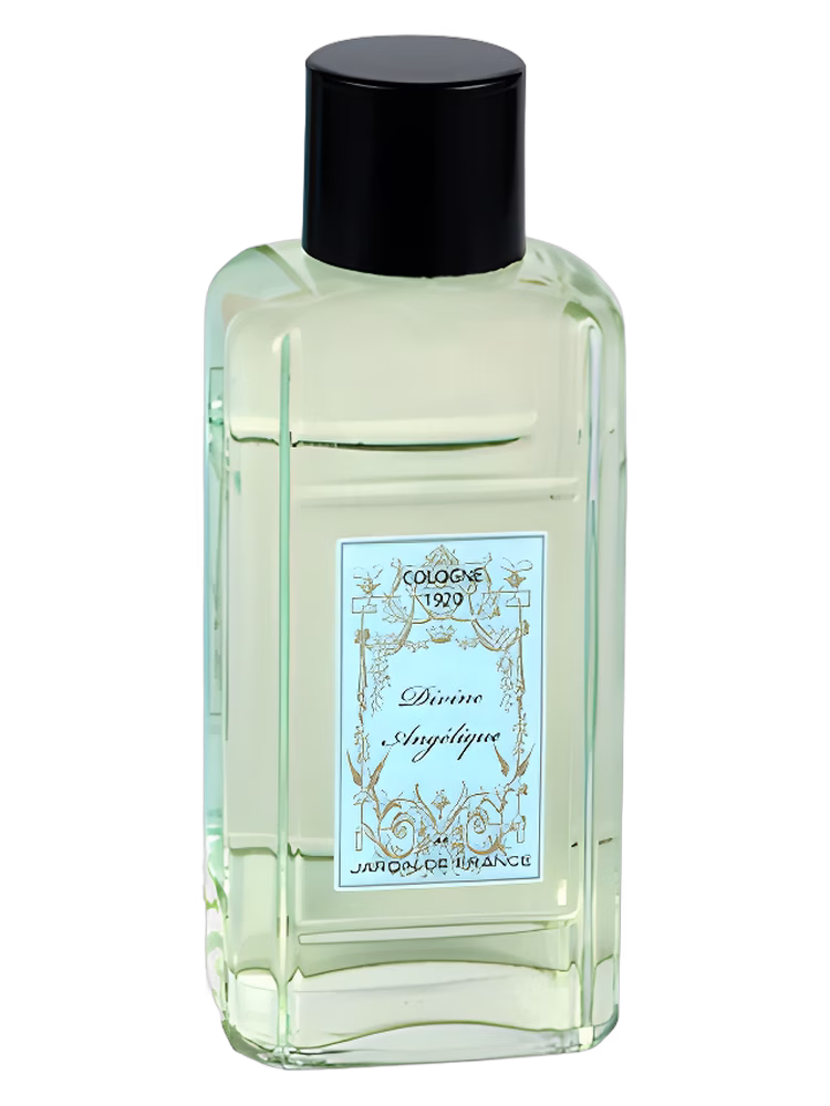Jardin de France Divine Angelique