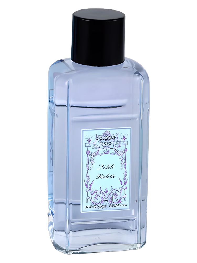 Jardin de France Fidele Violette