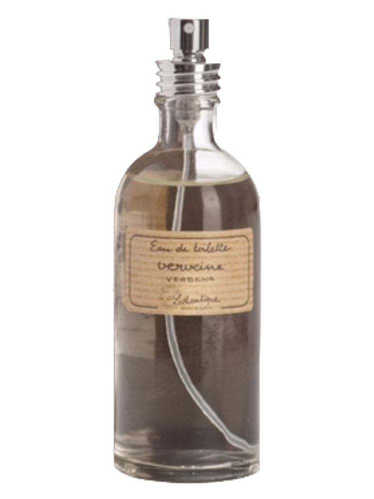 Lothantique Verbena