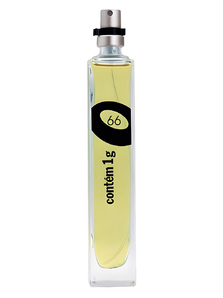 Contém 1g 66