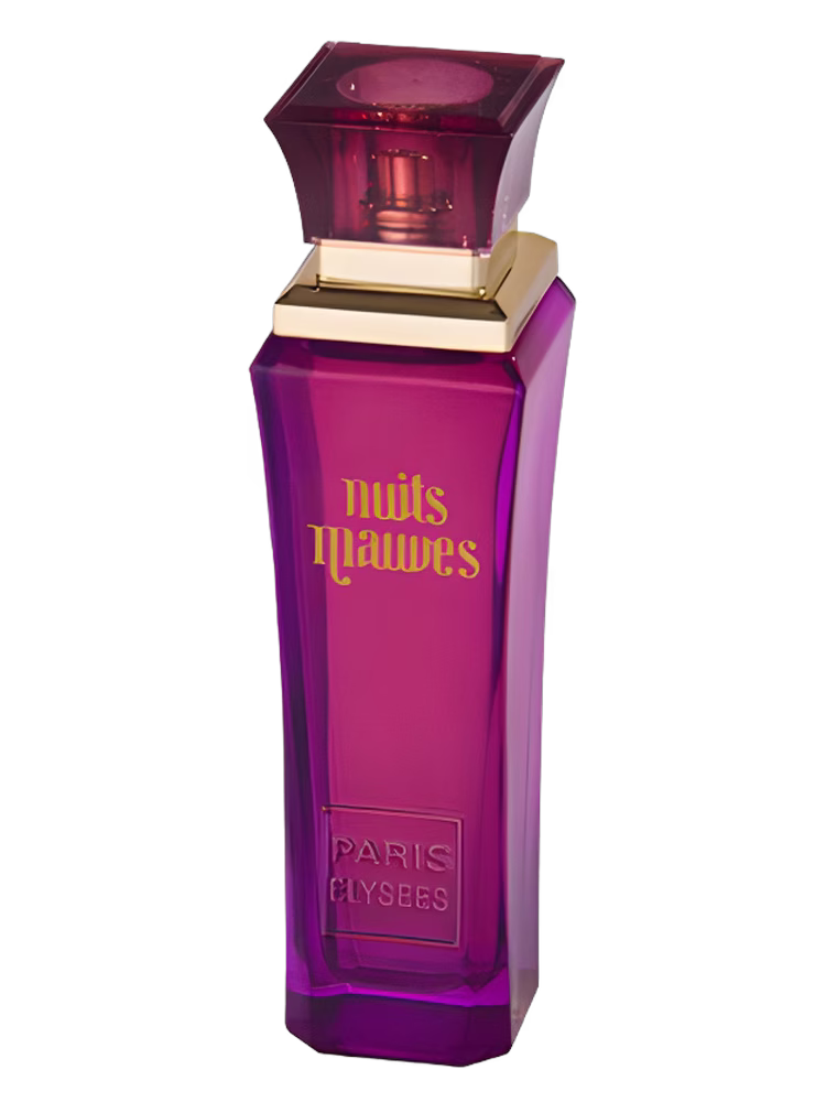 Paris Elysees Nuits Mauves