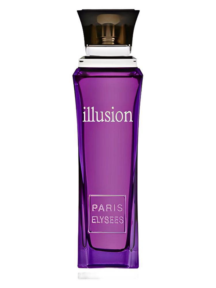 Paris Elysees Illusion