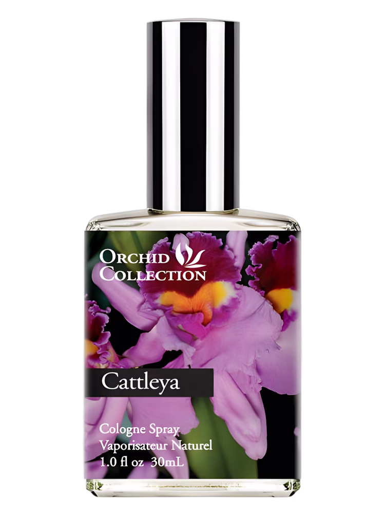Demeter Fragrance Cattleya Orchid
