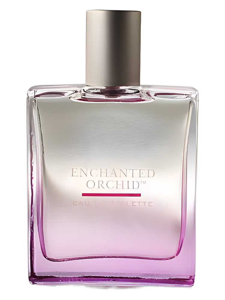 Bath & Body Works Enchanted Orchid
