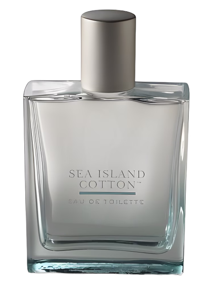 Bath & Body Works Sea Island Cotton