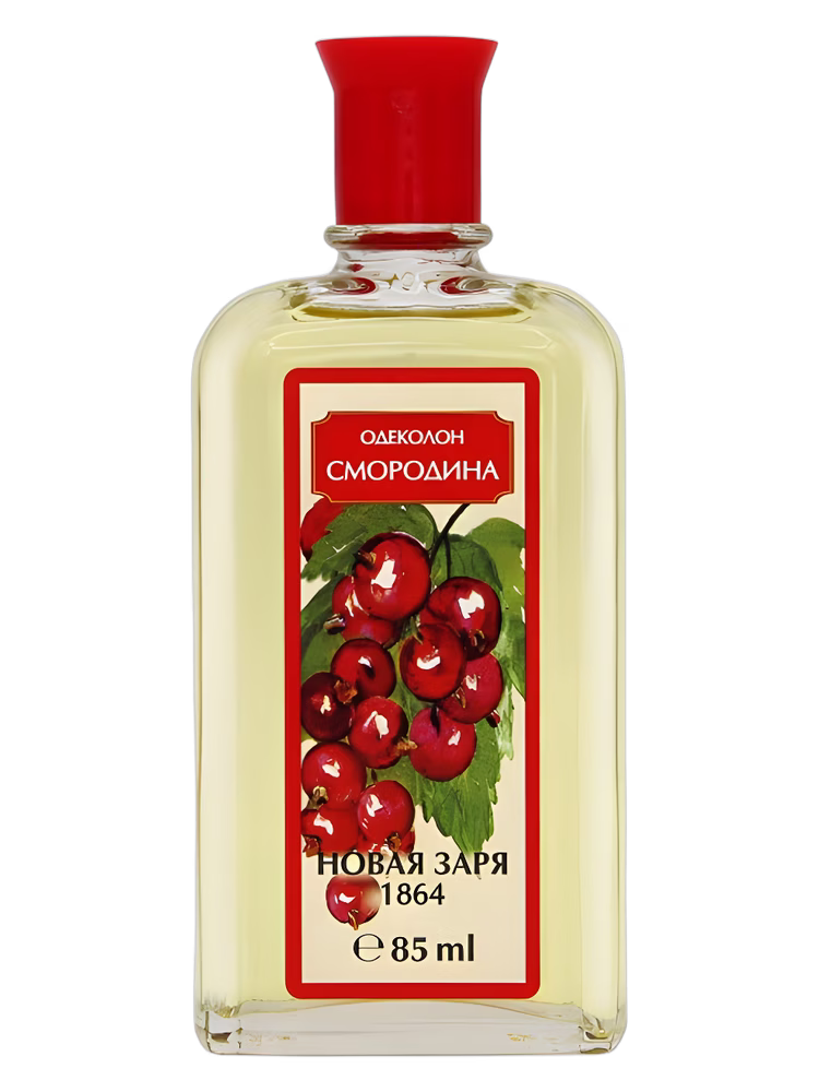 Новая Заря (The New Dawn) Смородина (Currant)