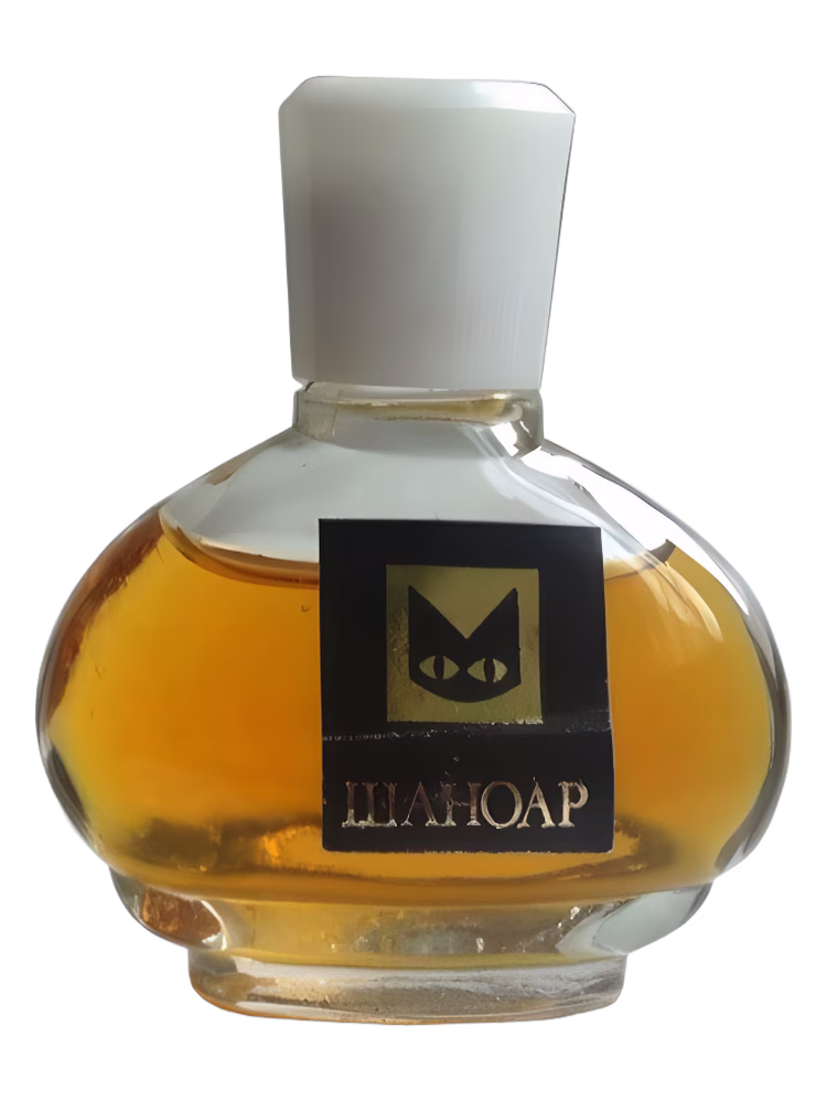 Alen Mak Chat Noir