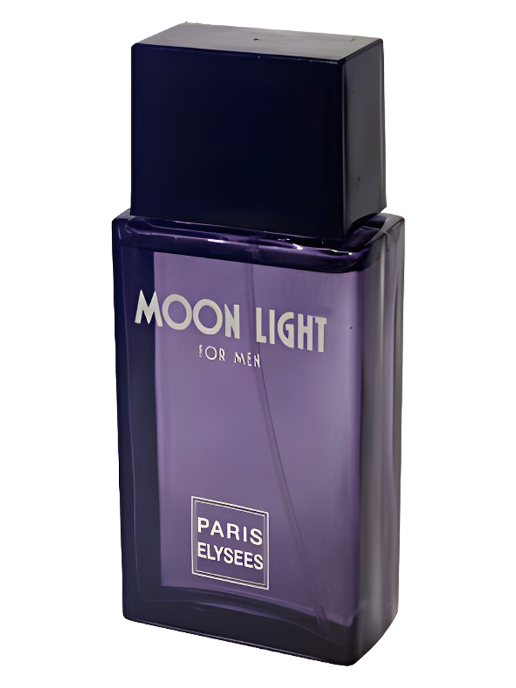 Paris Elysees Moon Light
