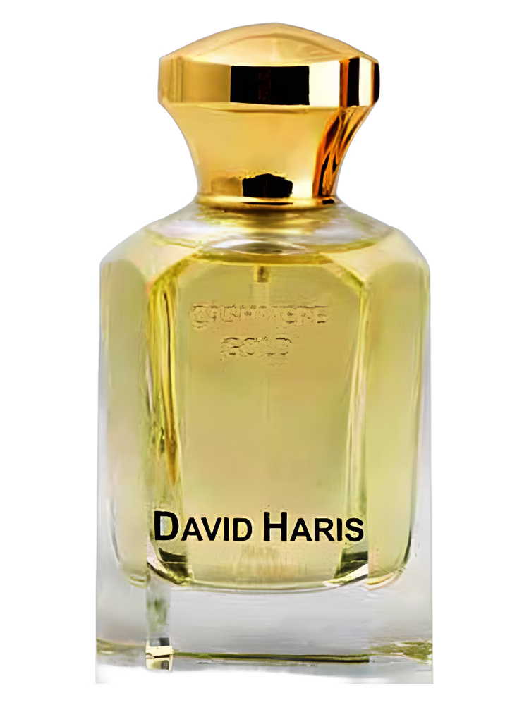 David Haris Cachemere Gold