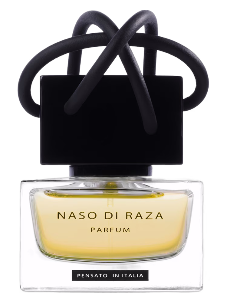 Naso Di Raza La Chaise Vide