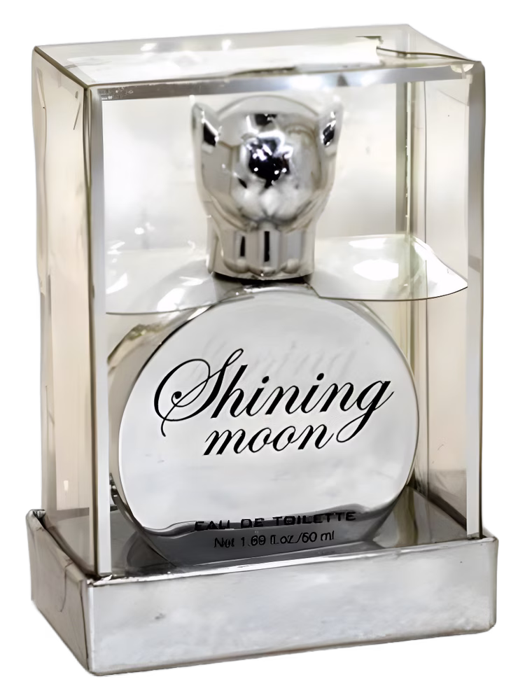 H&M Shining Moon